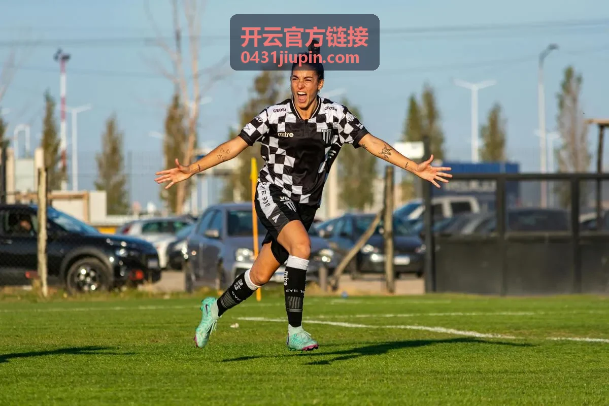 开云官方链接频道内容概览
