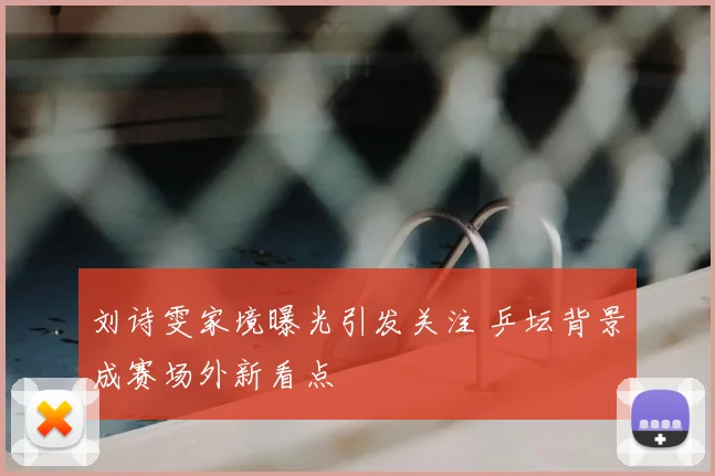 刘诗雯家境曝光引发关注 乒坛背景成赛场外新看点