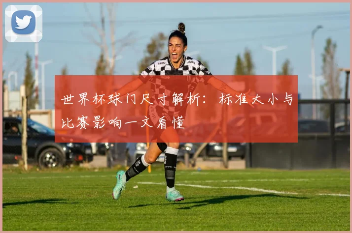 世界杯球门尺寸解析：标准大小与比赛影响一文看懂